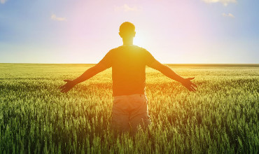 Articolo Tre, Eventi Sezione Due 