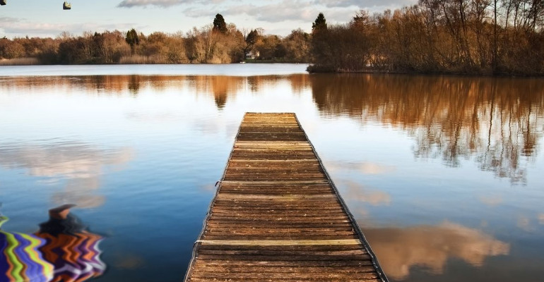 Articolo Uno, Eventi Sezione Due