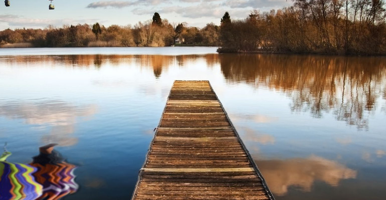 Articolo Uno, Eventi Sezione Due Copia di Articolo Uno, Eventi Sezione Due