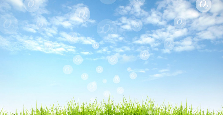 Articolo Due, Eventi Sezione Due 