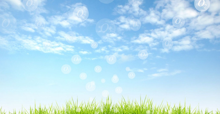 Articolo Due, Eventi Sezione Due Copia di Articolo Due, Eventi Sezione Due