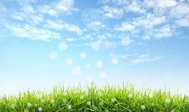 Copia di Articolo Due, Eventi Sezione Due 